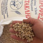 ΕΜΠΟΡΙΟ-ΖΩΟΤΡΟΦΩΝ-ΧΑΛΚΙΔΑ-ΜΟΥΣΤΑΚΛΗΣ