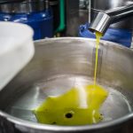 ΕΛΑΙΟΤΡΙΒΕΙΟ-ΑΜΑΡΥΝΘΟΣ-ΕΥΒΟΙΑΣ-ΜΠΟΥΡΙΚΑΣ