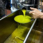 ΕΛΑΙΟΤΡΙΒΕΙΟ-ΑΜΑΡΥΝΘΟΣ-ΕΥΒΟΙΑΣ-ΜΠΟΥΡΙΚΑΣ