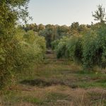 ΕΛΑΙΟΤΡΙΒΕΙΟ-ΦΑΝΕΡΩΜΕΝΗ-ΗΡΑΚΛΕΙΟΥ-ΤΖΩΡΤΖΑΚΑΚΗΣ