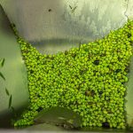 ΕΛΑΙΟΤΡΙΒΕΙΟ-ΦΑΝΕΡΩΜΕΝΗ-ΗΡΑΚΛΕΙΟΥ-ΤΖΩΡΤΖΑΚΑΚΗΣ