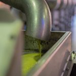 ΕΛΑΙΟΤΡΙΒΕΙΟ-ΦΑΝΕΡΩΜΕΝΗ-ΗΡΑΚΛΕΙΟΥ-ΤΖΩΡΤΖΑΚΑΚΗΣ