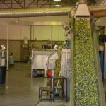 ΕΛΑΙΟΤΡΙΒΕΙΟ-ΦΑΝΕΡΩΜΕΝΗ-ΗΡΑΚΛΕΙΟΥ-ΤΖΩΡΤΖΑΚΑΚΗΣ