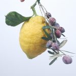 ΕΛΑΙΟΤΡΙΒΕΙΟ-ΚΑΛΛΙΠΑΔΟ-ΖΑΚΥΝΘΟΥ-ΒΟΥΡΤΣΗΣ