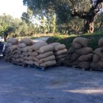 ΕΛΑΙΟΤΡΙΒΕΙΟ-ΚΑΛΛΙΠΑΔΟ-ΖΑΚΥΝΘΟΥ-ΒΟΥΡΤΣΗΣ