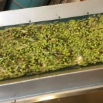 ΕΛΑΙΟΤΡΙΒΕΙΟ-ΚΑΛΛΙΠΑΔΟ-ΖΑΚΥΝΘΟΥ-ΒΟΥΡΤΣΗΣ