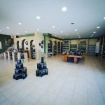 ΕΛΑΙΟΤΡΙΒΕΙΟ-ΛΟΥΡΟΣ-ΠΡΕΒΕΖΑΣ-ΚΟΝΑΚΗΣ- ΑΧΙΛΛΕΑΣ