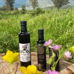 ΕΛΑΙΟΤΡΙΒΕΙΟ-ΛΟΥΡΟΣ-ΠΡΕΒΕΖΑΣ-ΚΟΝΑΚΗΣ- ΑΧΙΛΛΕΑΣ