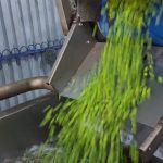 ΕΛΑΙΟΤΡΙΒΕΙΟ-ΛΟΥΡΟΣ-ΠΡΕΒΕΖΑΣ-ΚΟΝΑΚΗΣ- ΑΧΙΛΛΕΑΣ