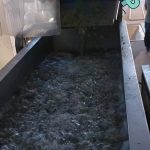 ΕΛΑΙΟΤΡΙΒΕΙΟ-ΛΟΥΡΟΣ-ΠΡΕΒΕΖΑΣ-ΚΟΝΑΚΗΣ- ΑΧΙΛΛΕΑΣ