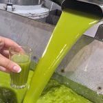 ΕΛΑΙΟΤΡΙΒΕΙΟ-ΖΑΡΟΣ-ΗΡΑΚΛΕΙΟΥ-ΧΑΛΚΙΑΔΑΚΗ-ΗΛΕΚΤΡΑ