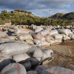 ΕΛΑΙΟΤΡΙΒΕΙΟ-ΖΑΡΟΣ-ΗΡΑΚΛΕΙΟΥ-ΧΑΛΚΙΑΔΑΚΗ-ΗΛΕΚΤΡΑ
