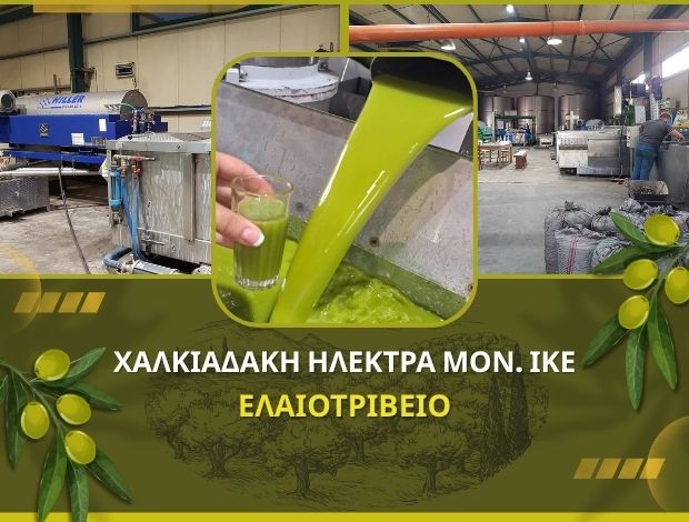 ΕΛΑΙΟΤΡΙΒΕΙΟ ΖΑΡΟΣ ΗΡΑΚΛΕΙΟΥ ΧΑΛΚΙΑΔΑΚΗ ΗΛΕΚΤΡΑ ΜΟΝ. ΙΚΕ