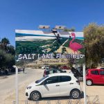 ΕΣΤΙΑΤΟΡΙΟ-ΤΙΓΚΑΚΙ-ΚΩΣ-SALT-LAKE-FLAMINGO