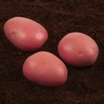 ΓΕΩΡΓΙΚΑ-ΕΦΟΔΙΑ-ΙΛΙΟΝ-ΓΕΩΜΑΤ-ΤΟΥΝΤΑΣ-ΤΣΑΚΝΗΣ