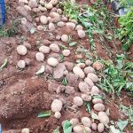 ΓΕΩΡΓΙΚΑ-ΕΦΟΔΙΑ-ΙΛΙΟΝ-ΓΕΩΜΑΤ-ΤΟΥΝΤΑΣ-ΤΣΑΚΝΗΣ