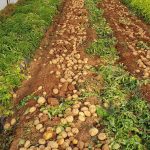 ΓΕΩΡΓΙΚΑ-ΕΦΟΔΙΑ-ΙΛΙΟΝ-ΓΕΩΜΑΤ-ΤΟΥΝΤΑΣ-ΤΣΑΚΝΗΣ