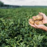 ΓΕΩΡΓΙΚΑ-ΕΦΟΔΙΑ-ΙΛΙΟΝ-ΓΕΩΜΑΤ-ΤΟΥΝΤΑΣ-ΤΣΑΚΝΗΣ