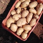 ΓΕΩΡΓΙΚΑ-ΕΦΟΔΙΑ-ΙΛΙΟΝ-ΓΕΩΜΑΤ-ΤΟΥΝΤΑΣ-ΤΣΑΚΝΗΣ