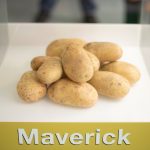 ΓΕΩΡΓΙΚΑ-ΕΦΟΔΙΑ-ΙΛΙΟΝ-ΓΕΩΜΑΤ-ΤΟΥΝΤΑΣ-ΤΣΑΚΝΗΣ