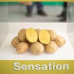 ΓΕΩΡΓΙΚΑ-ΕΦΟΔΙΑ-ΙΛΙΟΝ-ΓΕΩΜΑΤ-ΤΟΥΝΤΑΣ-ΤΣΑΚΝΗΣ