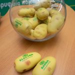 ΓΕΩΡΓΙΚΑ-ΕΦΟΔΙΑ-ΙΛΙΟΝ-ΓΕΩΜΑΤ-ΤΟΥΝΤΑΣ-ΤΣΑΚΝΗΣ