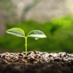 ΓΕΩΡΓΙΚΑ-ΕΦΟΔΙΑ-ΚΑΙΝΟΥΡΓΙΟ-ΔΗΜΗΤΡΙΟΥ