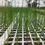 ΓΕΩΡΓΙΚΑ-ΕΦΟΔΙΑ-ΚΑΙΝΟΥΡΓΙΟ-ΔΗΜΗΤΡΙΟΥ