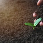 ΓΕΩΡΓΙΚΑ-ΕΦΟΔΙΑ-ΛΕΧΑΙΝΑ-ΚΑΚΑΛΕΤΡΗ-ΓΕΩΡΓΙΑ