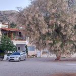 ΤΑΞΙ-ΑΡΓΥΡΟ-ΕΥΒΟΙΑΣ-ΜΠΕΝΑΚΗΣ-ΔΗΜΗΤΡΙΟΣ