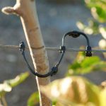 ΒΙΟΛΟΓΙΚΗ-ΦΥΤΟΠΡΟΣΤΑΣΙΑ-ΣΚΥΔΡΑ-BIO-PROTECTA