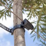 ΒΙΟΛΟΓΙΚΗ-ΦΥΤΟΠΡΟΣΤΑΣΙΑ-ΣΚΥΔΡΑ-BIO-PROTECTA