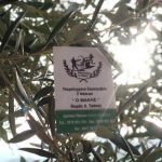 ΕΛΑΙΟΤΡΙΒΕΙΟ-ΔΡΕΠΑΝΟ-ΑΧΑΪΑΣ-ΤΣΑΚΑΣ-ΘΩΜΑΣ