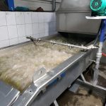 ΕΛΑΙΟΤΡΙΒΕΙΟ-ΔΡΕΠΑΝΟ-ΑΧΑΪΑΣ-ΤΣΑΚΑΣ-ΘΩΜΑΣ