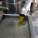 ΕΛΑΙΟΤΡΙΒΕΙΟ-ΔΡΕΠΑΝΟ-ΑΧΑΪΑΣ-ΤΣΑΚΑΣ-ΘΩΜΑΣ