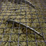 ΕΛΑΙΟΤΡΙΒΕΙΟ-ΣΗΜΑΝΤΡΑ-ΧΑΛΚΙΔΙΚΗΣ-ΛΙΟΚΛΑΔΙ-ΤΟΛΕΡΗΣ