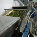 ΕΛΑΙΟΤΡΙΒΕΙΟ-ΒΛΑΧΕΡΝΑ-ΑΡΤΑΣ-ΒΙΤΣΙΟΣ