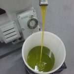 ΕΛΑΙΟΤΡΙΒΕΙΟ-ΒΛΑΧΕΡΝΑ-ΑΡΤΑΣ-ΒΙΤΣΙΟΣ