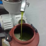 ΕΛΑΙΟΤΡΙΒΕΙΟ-ΒΛΑΧΕΡΝΑ-ΑΡΤΑΣ-ΒΙΤΣΙΟΣ