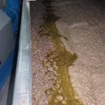 ΕΛΑΙΟΤΡΙΒΕΙΟ-ΒΛΑΧΕΡΝΑ-ΑΡΤΑΣ-ΒΙΤΣΙΟΣ