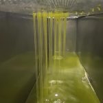 ΕΛΑΙΟΤΡΙΒΕΙΟ-ΒΛΑΧΕΡΝΑ-ΑΡΤΑΣ-ΒΙΤΣΙΟΣ