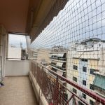 ΔΙΧΤΥΑ-ΑΣΦΑΛΕΙΑΣ-ΓΑΤΑΣ-Η-ΑΤΙΘΑΣΗ-ΓΑΤΑ