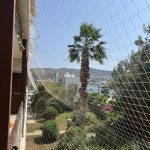 ΔΙΧΤΥΑ-ΑΣΦΑΛΕΙΑΣ-ΓΑΤΑΣ-Η-ΑΤΙΘΑΣΗ-ΓΑΤΑ