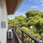 ΔΙΧΤΥΑ-ΑΣΦΑΛΕΙΑΣ-ΓΑΤΑΣ-Η-ΑΤΙΘΑΣΗ-ΓΑΤΑ