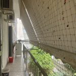 ΔΙΧΤΥΑ-ΑΣΦΑΛΕΙΑΣ-ΓΑΤΑΣ-Η-ΑΤΙΘΑΣΗ-ΓΑΤΑ