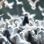 ΔΙΧΤΥΑ-ΑΣΦΑΛΕΙΑΣ-ΓΑΤΑΣ-Η-ΑΤΙΘΑΣΗ-ΓΑΤΑ