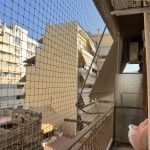 ΔΙΧΤΥΑ-ΑΣΦΑΛΕΙΑΣ-ΓΑΤΑΣ-Η-ΑΤΙΘΑΣΗ-ΓΑΤΑ