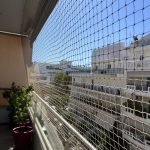 ΔΙΧΤΥΑ-ΑΣΦΑΛΕΙΑΣ-ΓΑΤΑΣ-Η-ΑΤΙΘΑΣΗ-ΓΑΤΑ