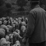 ΓΑΛΑΚΤΟΚΟΜΙΚΟΣ-ΣΥΝΕΤΑΙΡΙΣΜΟΣ-ΙΩΑΝΝΙΝΩΝ-ΓΙΑΝΝΙΩΤΙΚΟ