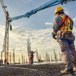 ΠΑΡΑΓΩΓΗ-ΣΚΥΡΟΔΕΜΑΤΟΣ-ΟΙΝΟΦΥΤΑ-ΜΠΙΝΙΑΚΟΣ-ΜΠΕΤΟΝ